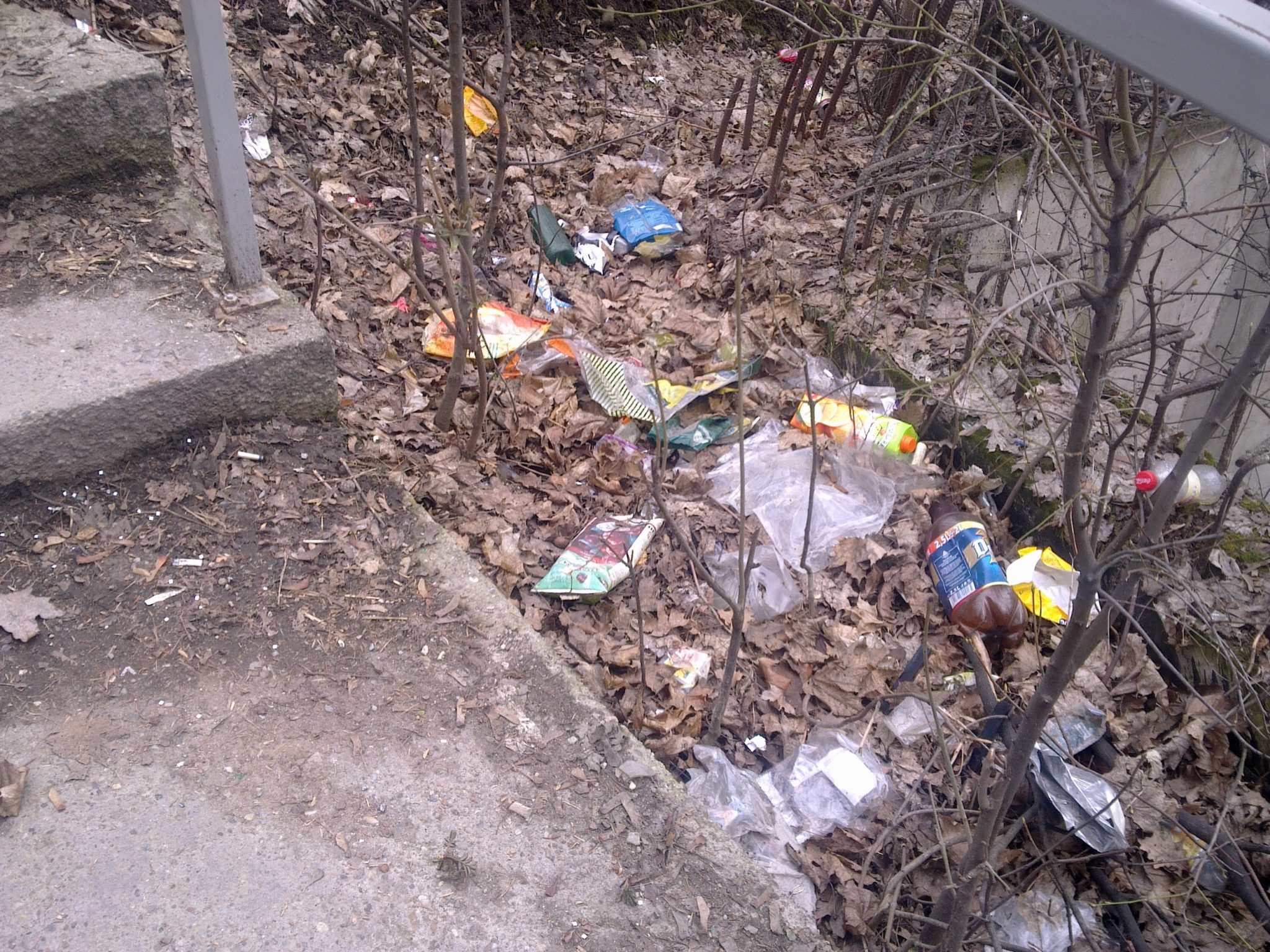 21032013379