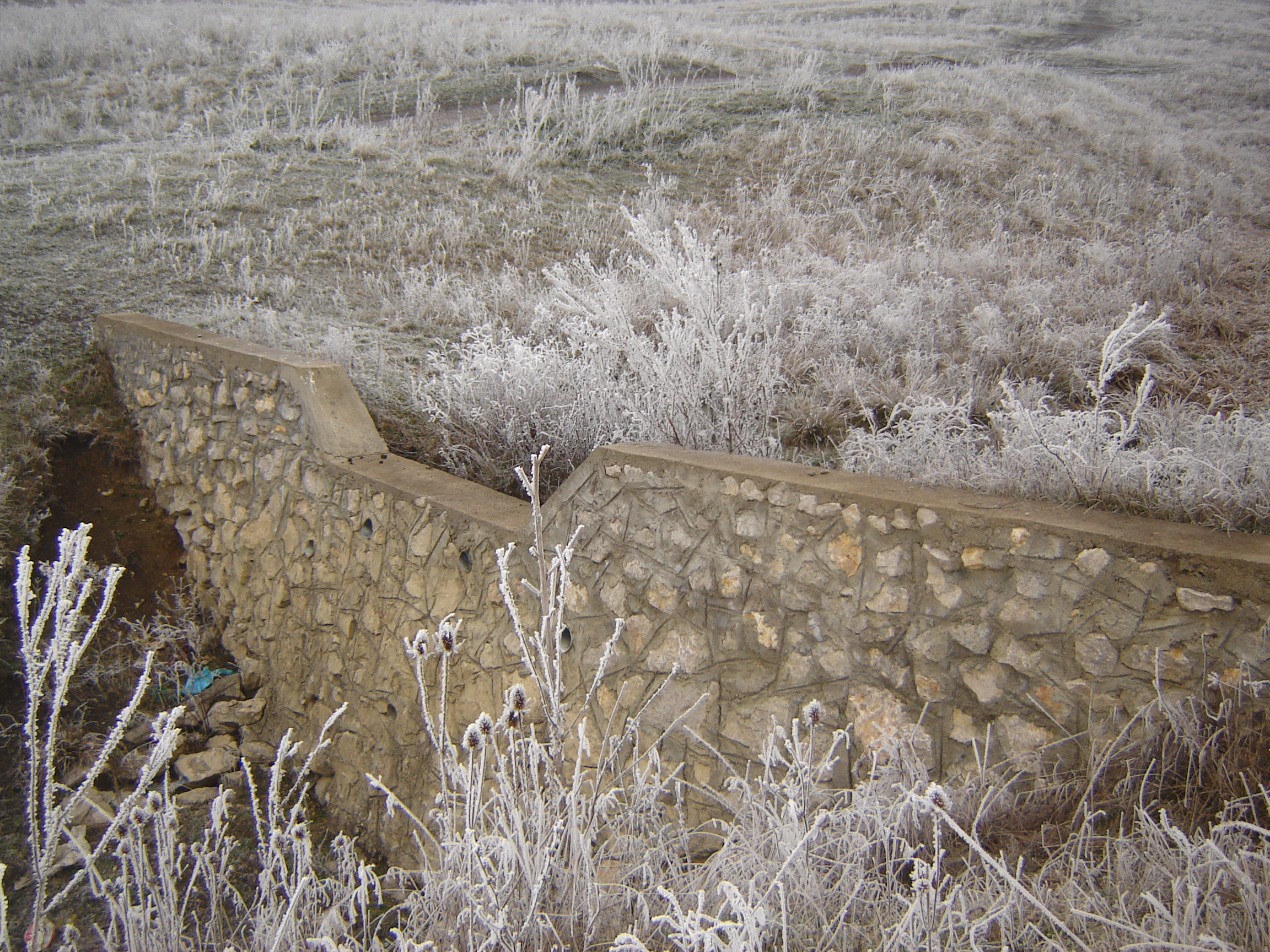 DSC05580
